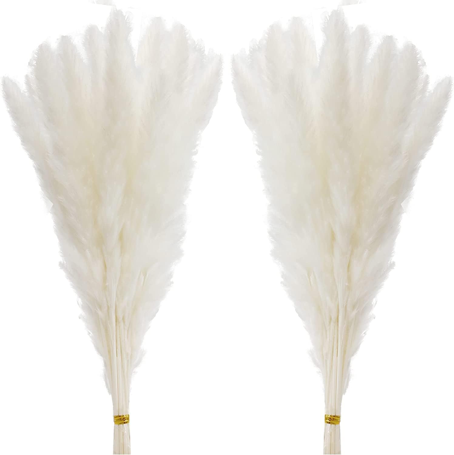 60 Fire de Pampas Uscat Alb pentru Decor - imagine 6