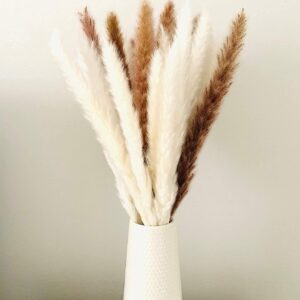 60 Fire de Pampas Uscat Alb pentru Decor