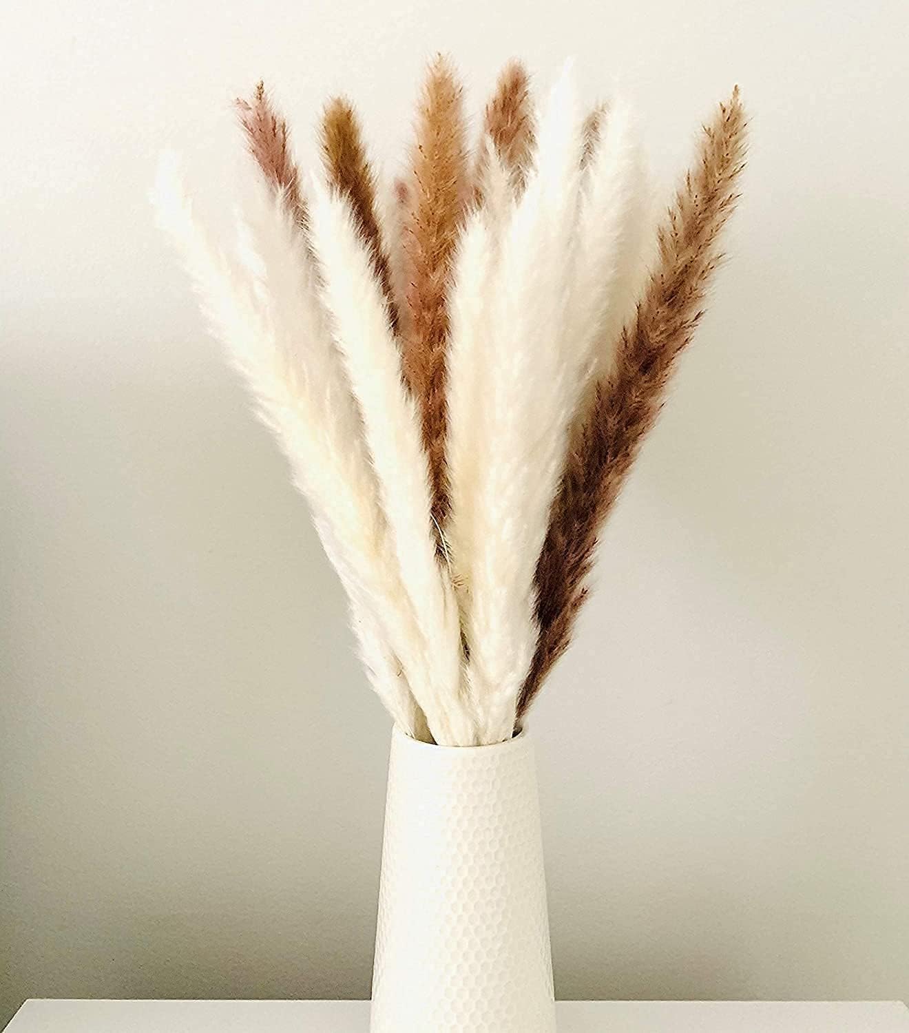 60 Fire de Pampas Uscat Alb pentru Decor