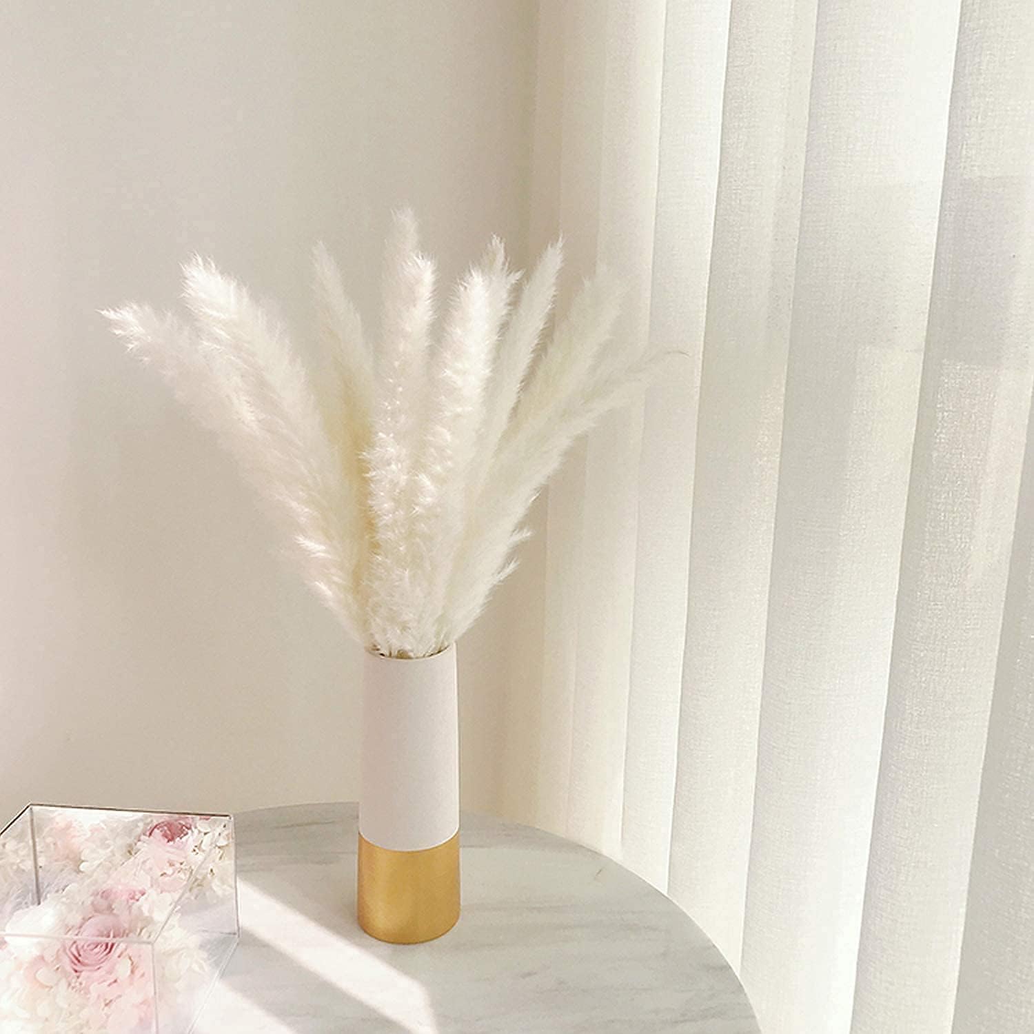 60 Fire de Pampas Uscat Alb pentru Decor - imagine 2